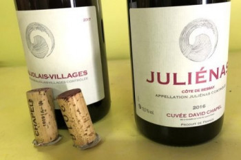 Beaujolais: The Elegant Wines of Domaine Chapel - Wine Anorak