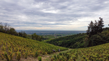 Domaine Chapel - Christina Rasmussen, Little Wine