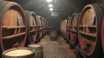 Beaujolais - A useful alternative to burgundy - Jancis Robinson